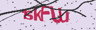Captcha認証コード